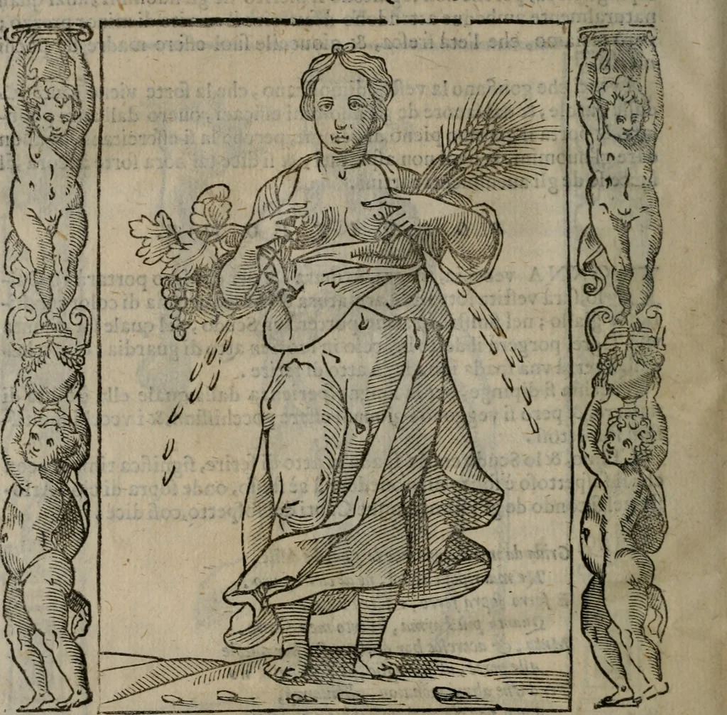 An illustration from Iconologia, ouero, Descrittione di diuerse imagini cauate dall'antichità, & di propria inuentione, 1603, leaf 489