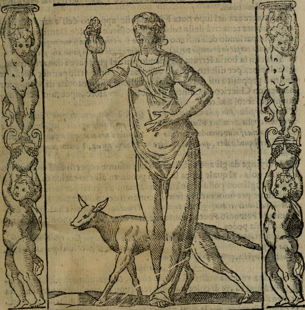 An illustration from Iconologia, ouero, Descrittione di diuerse imagini cauate dall'antichità, & di propria inuentione, 1603, leaf 56