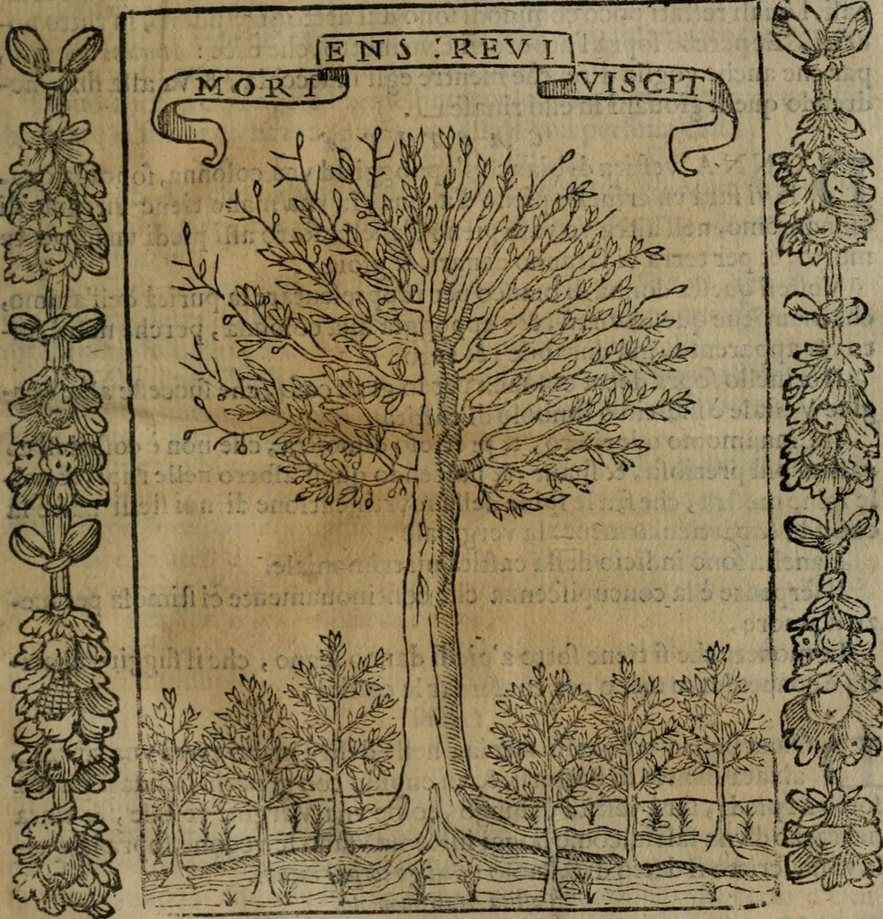 An illustration from Iconologia, ouero, Descrittione di diuerse imagini cauate dall'antichità, & di propria inuentione, 1603, leaf 90