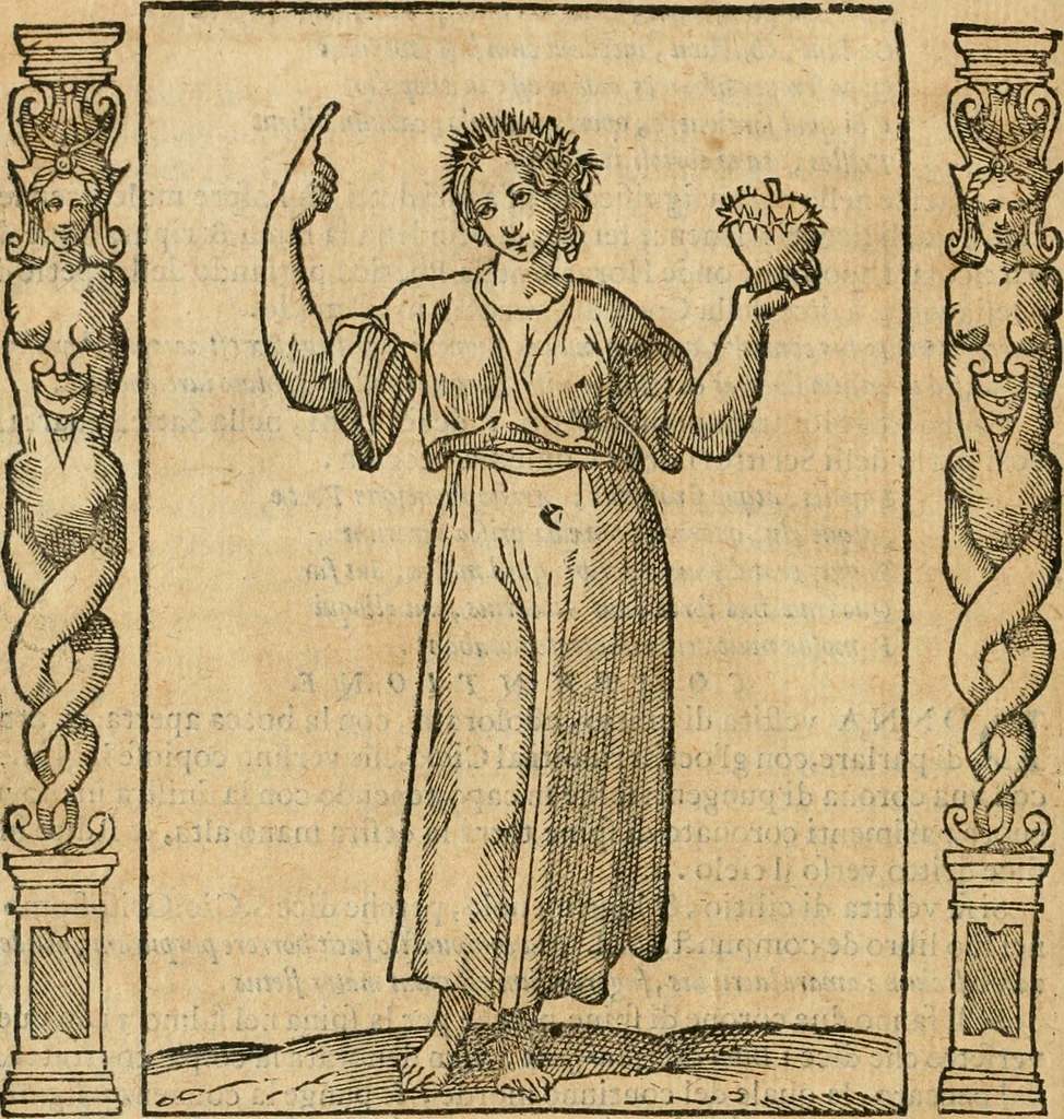 An illustration from Iconologia, ouero, Descrittione di diuerse imagini cauate dall'antichità, & di propria inuentione, 1603, leaf 101
