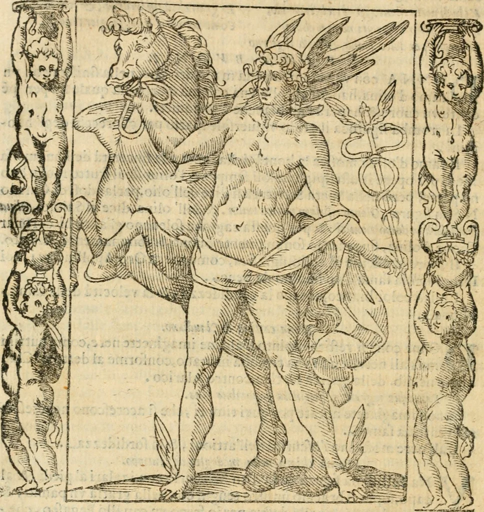 An illustration from Iconologia, ouero, Descrittione di diuerse imagini cauate dall'antichità, & di propria inuentione, 1603, leaf 167