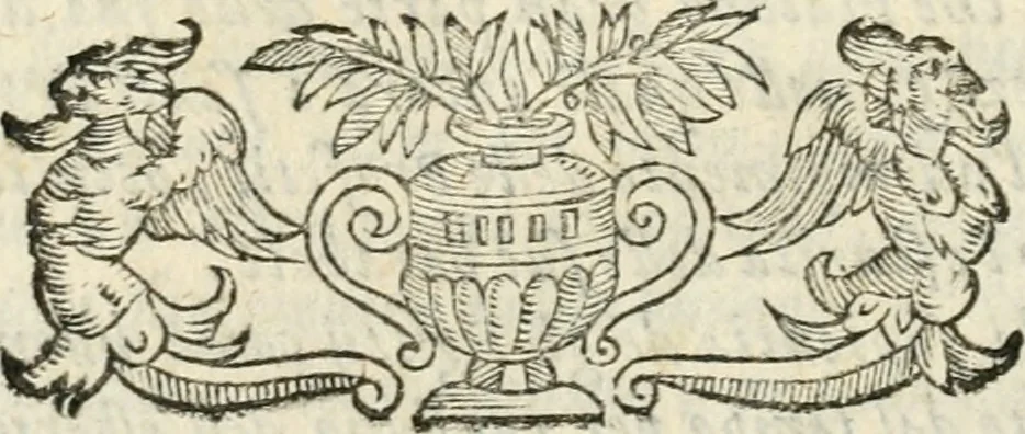 An illustration from Iconologia, ouero, Descrittione di diuerse imagini cauate dall'antichità, & di propria inuentione, 1603, leaf 17