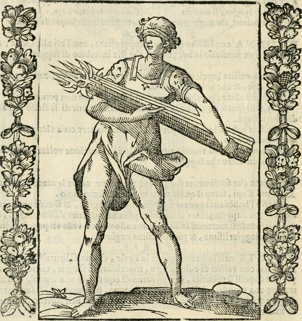 An illustration from Iconologia, ouero, Descrittione di diuerse imagini cauate dall'antichità, & di propria inuentione, 1603, leaf 199