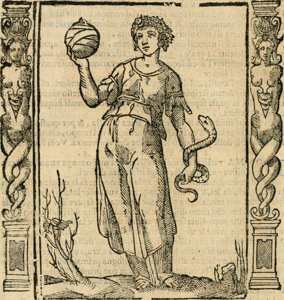An illustration from Iconologia, ouero, Descrittione di diuerse imagini cauate dall'antichità, & di propria inuentione, 1603, leaf 263