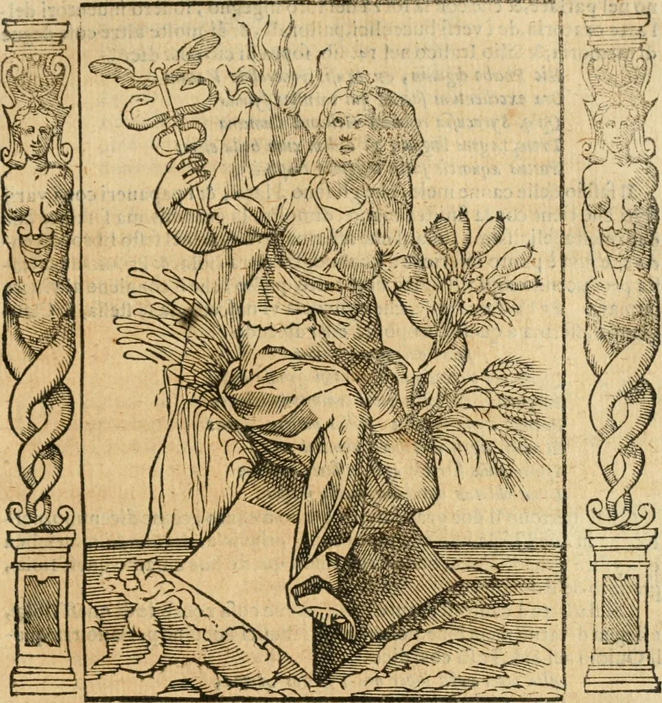 An illustration from Iconologia, ouero, Descrittione di diuerse imagini cauate dall'antichità, & di propria inuentione, 1603, leaf 310