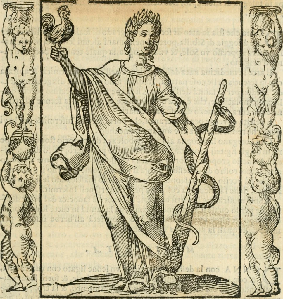 An illustration from Iconologia, ouero, Descrittione di diuerse imagini cauate dall'antichità, & di propria inuentione, 1603, leaf 334