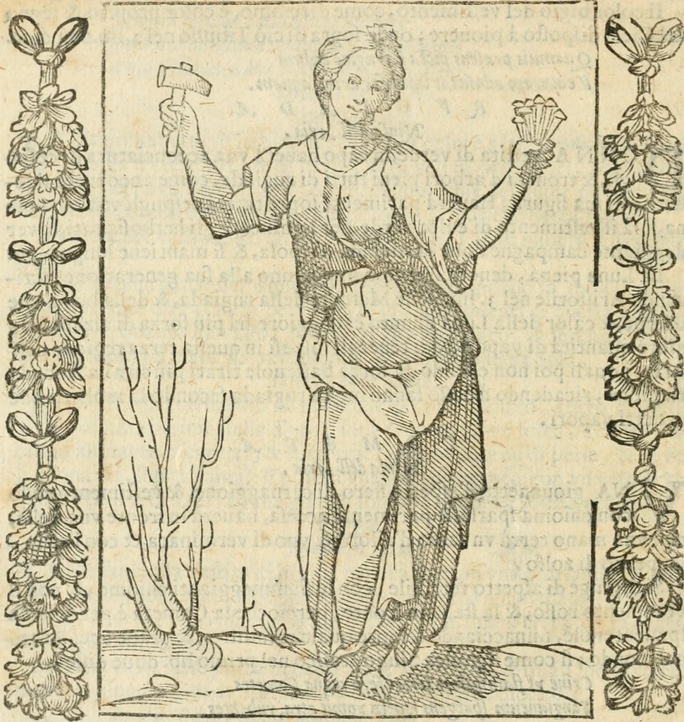 An illustration from Iconologia, ouero, Descrittione di diuerse imagini cauate dall'antichità, & di propria inuentione, 1603, leaf 381
