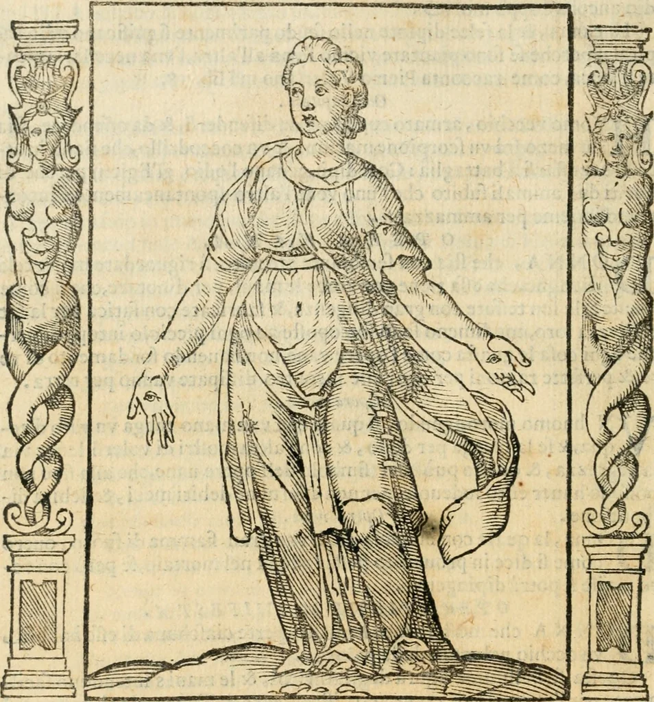 An illustration from Iconologia, ouero, Descrittione di diuerse imagini cauate dall'antichità, & di propria inuentione, 1603, leaf 391