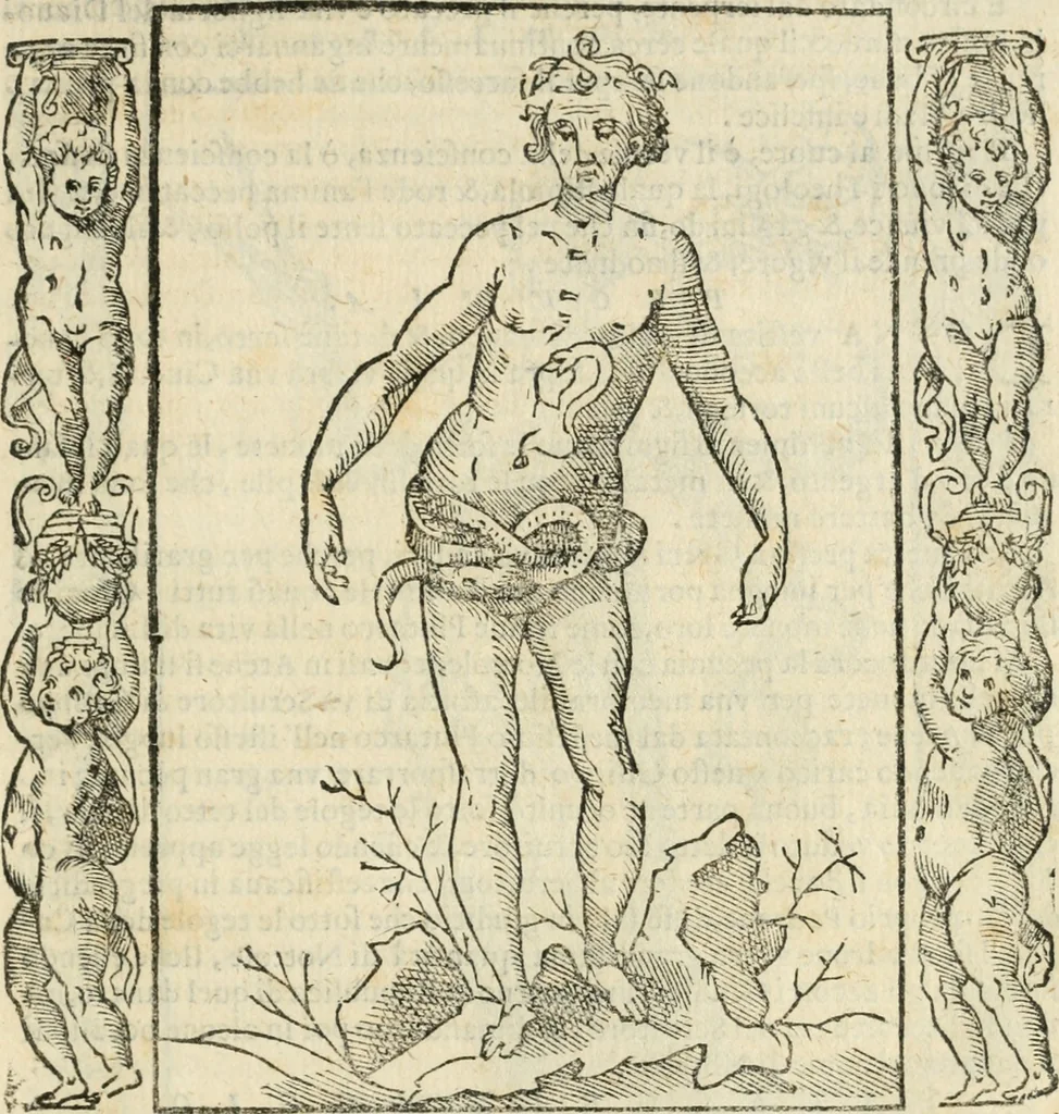 An illustration from Iconologia, ouero, Descrittione di diuerse imagini cauate dall'antichità, & di propria inuentione, 1603, leaf 406
