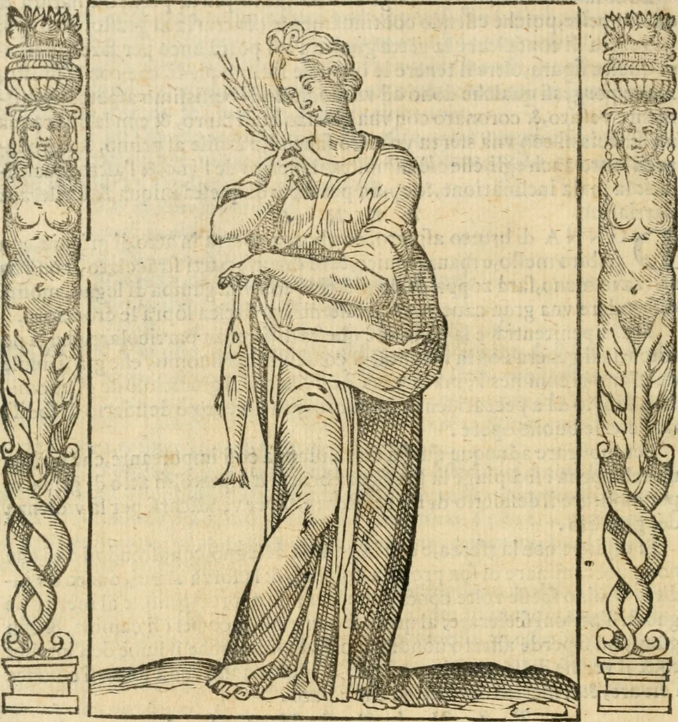 An illustration from Iconologia, ouero, Descrittione di diuerse imagini cauate dall'antichità, & di propria inuentione, 1603, leaf 411