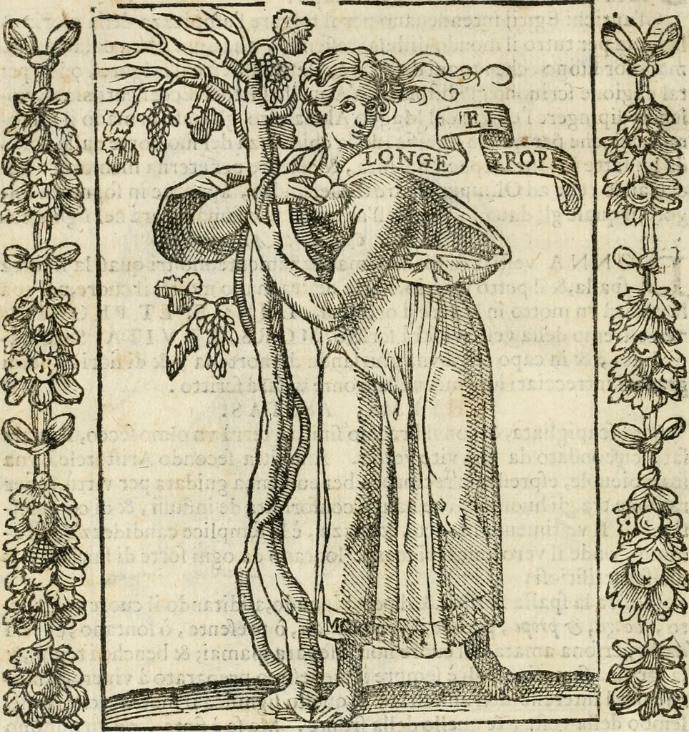 An illustration from Iconologia, ouero, Descrittione di diuerse imagini cauate dall'antichità, & di propria inuentione, 1603, leaf 43