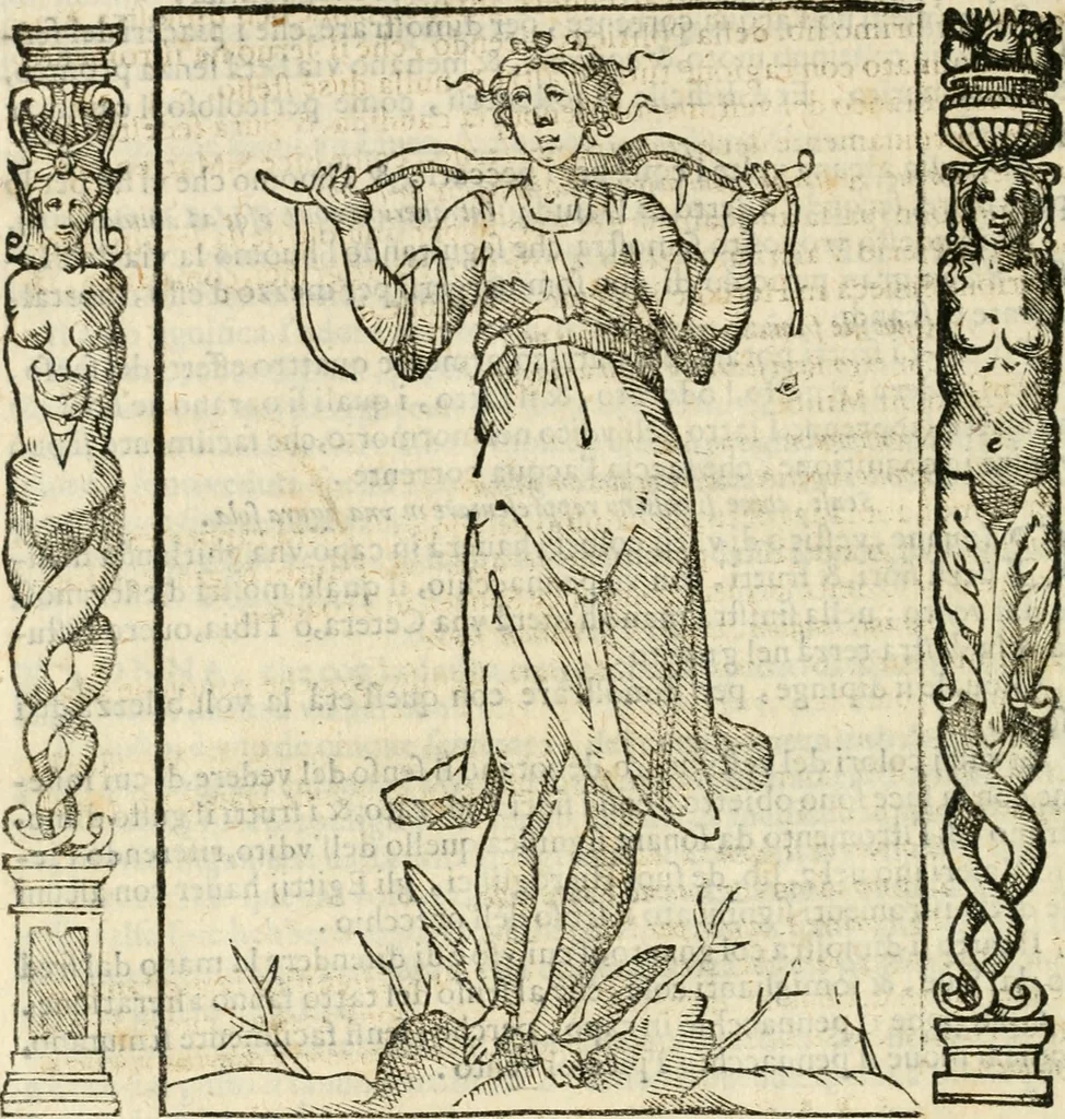 An illustration from Iconologia, ouero, Descrittione di diuerse imagini cauate dall'antichità, & di propria inuentione, 1603, leaf 473