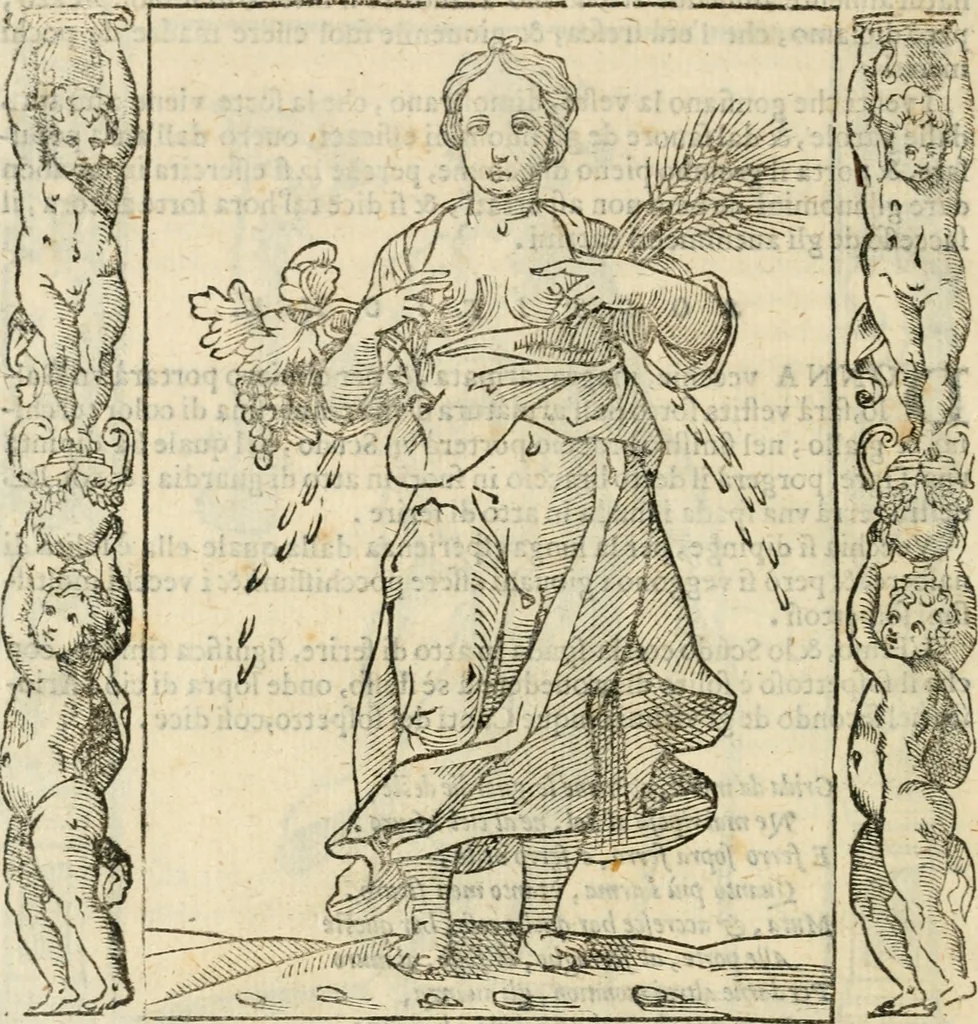 An illustration from Iconologia, ouero, Descrittione di diuerse imagini cauate dall'antichità, & di propria inuentione, 1603, leaf 491