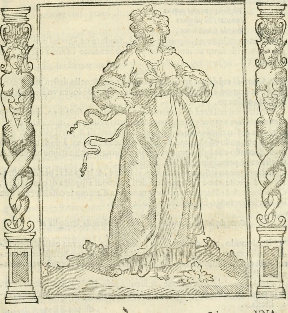 An illustration from Iconologia, ouero, Descrittione di diuerse imagini cauate dall'antichità, & di propria inuentione, 1603, leaf 526