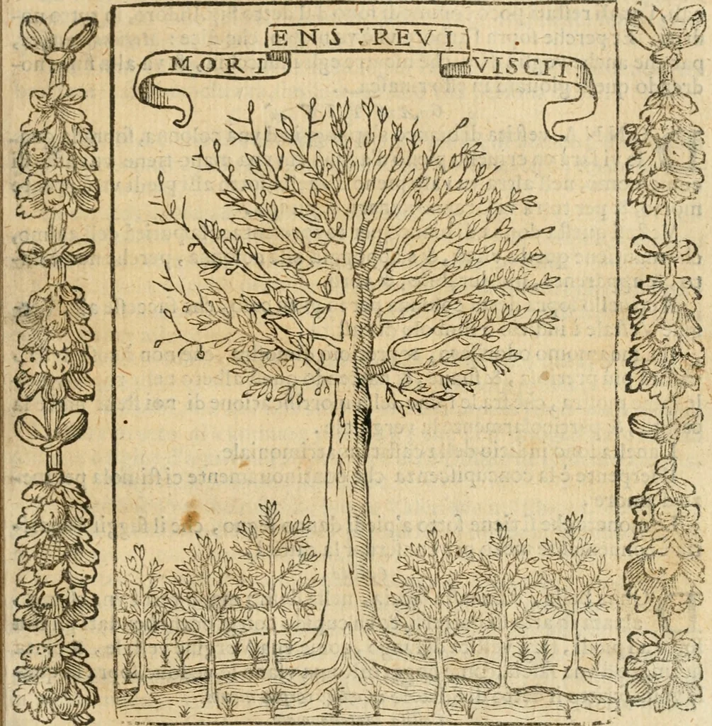 An illustration from Iconologia, ouero, Descrittione di diuerse imagini cauate dall'antichità, & di propria inuentione, 1603, leaf 92