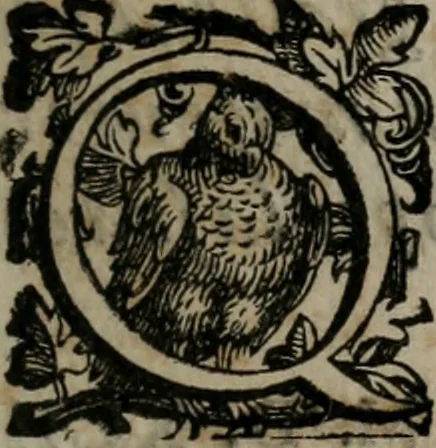 An illustration from Iconologia, overo, Descrittione dell'imagini vniversali cavate dall'antichita et da altri lvoghi, 1593, leaf 8