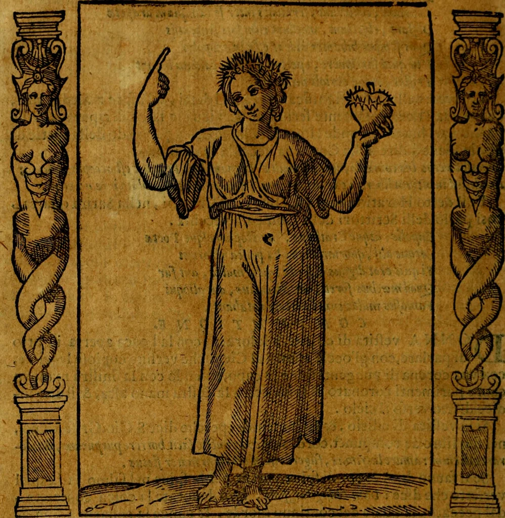 An illustration from Iconologia, overo Descrittione di diverse imagini cauate dall'antichità, & di propria inuentione,, 1603, leaf 101