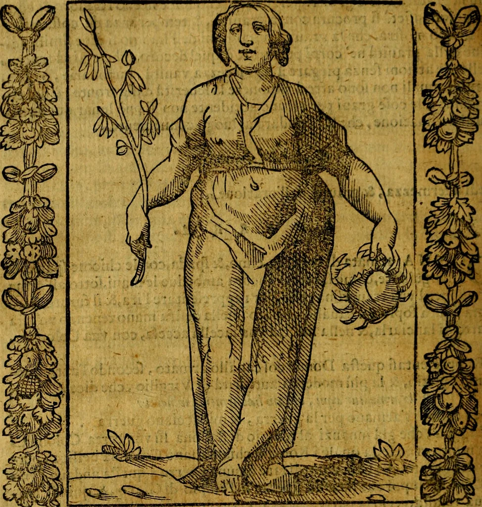 An illustration from Iconologia, overo Descrittione di diverse imagini cauate dall'antichità, & di propria inuentione,, 1603, leaf 221