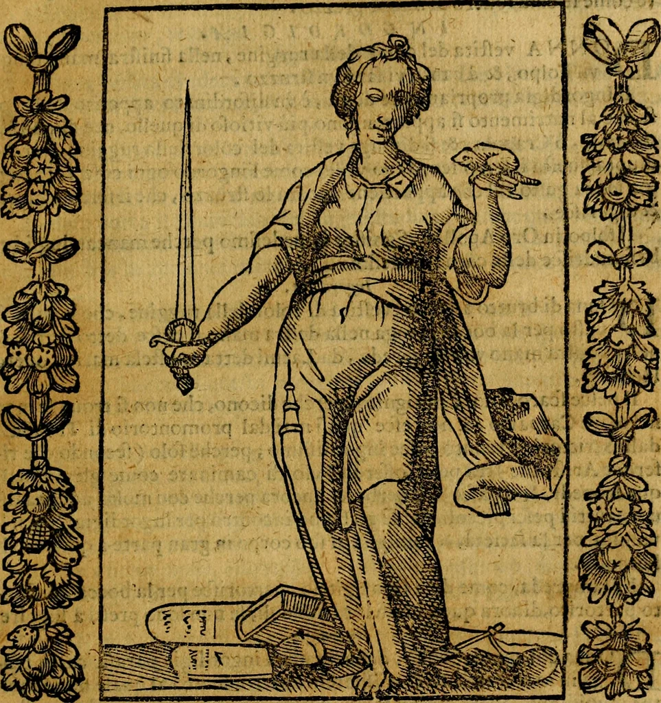 An illustration from Iconologia, overo Descrittione di diverse imagini cauate dall'antichità, & di propria inuentione,, 1603, leaf 254