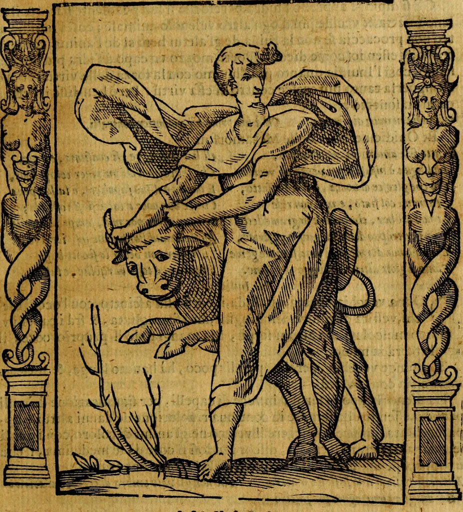 An illustration from Iconologia, overo Descrittione di diverse imagini cauate dall'antichità, & di propria inuentione,, 1603, leaf 264