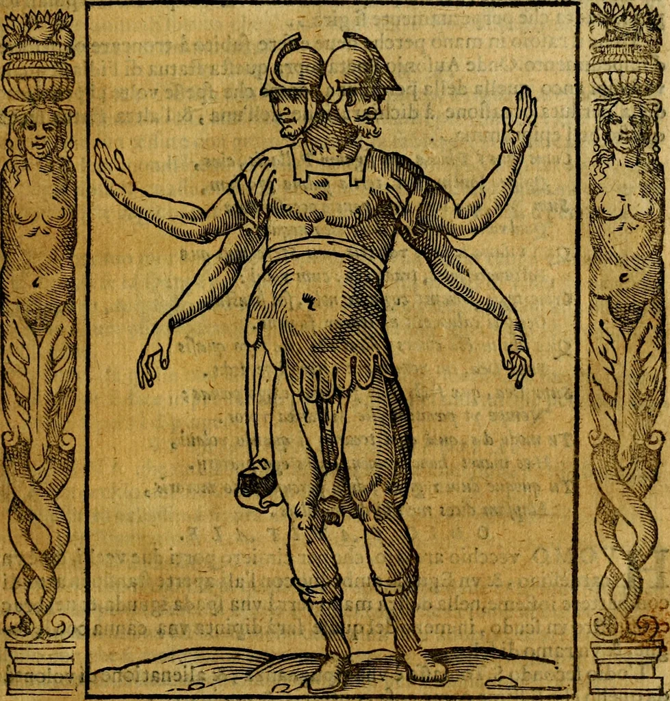 An illustration from Iconologia, overo Descrittione di diverse imagini cauate dall'antichità, & di propria inuentione,, 1603, leaf 388