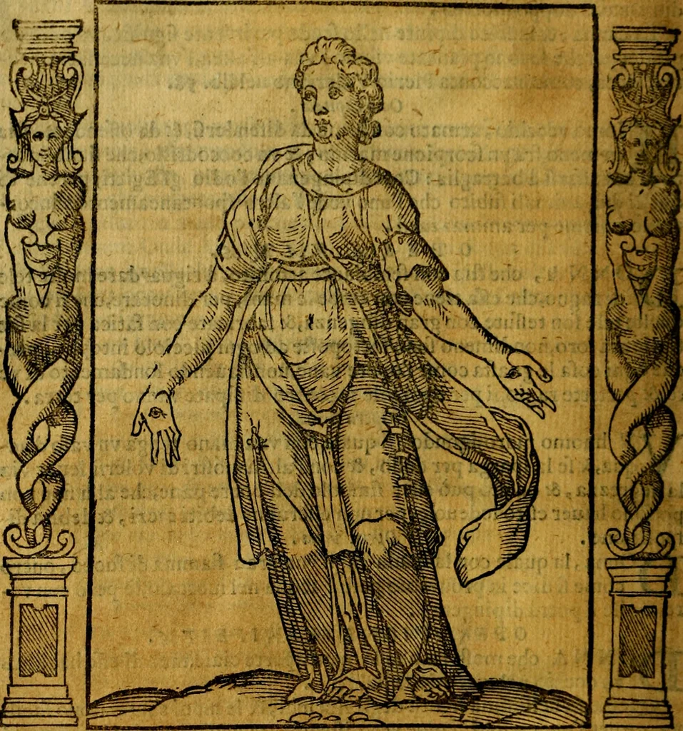 An illustration from Iconologia, overo Descrittione di diverse imagini cauate dall'antichità, & di propria inuentione,, 1603, leaf 391
