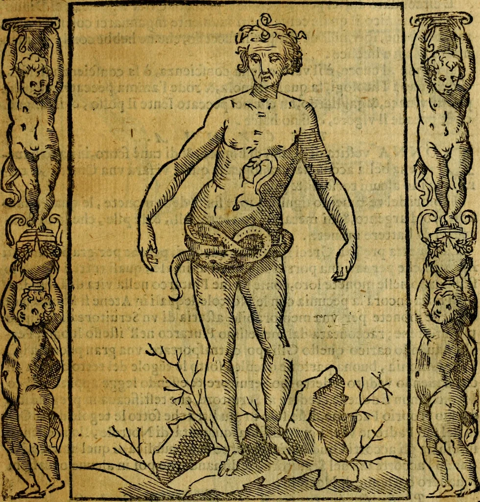 An illustration from Iconologia, overo Descrittione di diverse imagini cauate dall'antichità, & di propria inuentione,, 1603, leaf 406