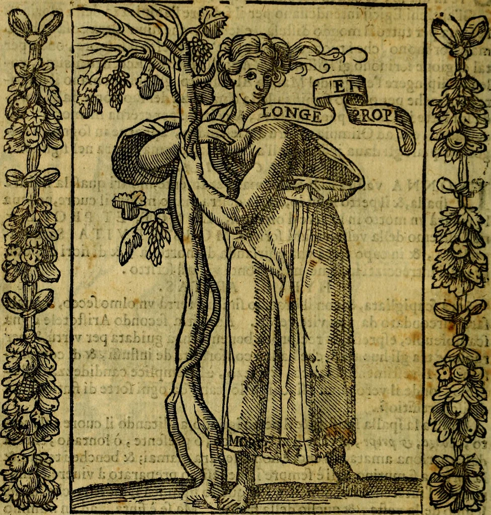 An illustration from Iconologia, overo Descrittione di diverse imagini cauate dall'antichità, & di propria inuentione,, 1603, leaf 43