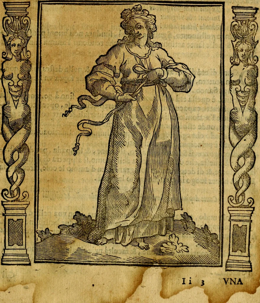 An illustration from Iconologia, overo Descrittione di diverse imagini cauate dall'antichità, & di propria inuentione,, 1603, leaf 528