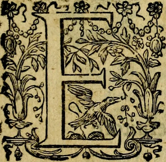 An illustration from Iconologia, overo Descrittione di diverse imagini cauate dall'antichità, & di propria inuentione,, 1603, leaf 6
