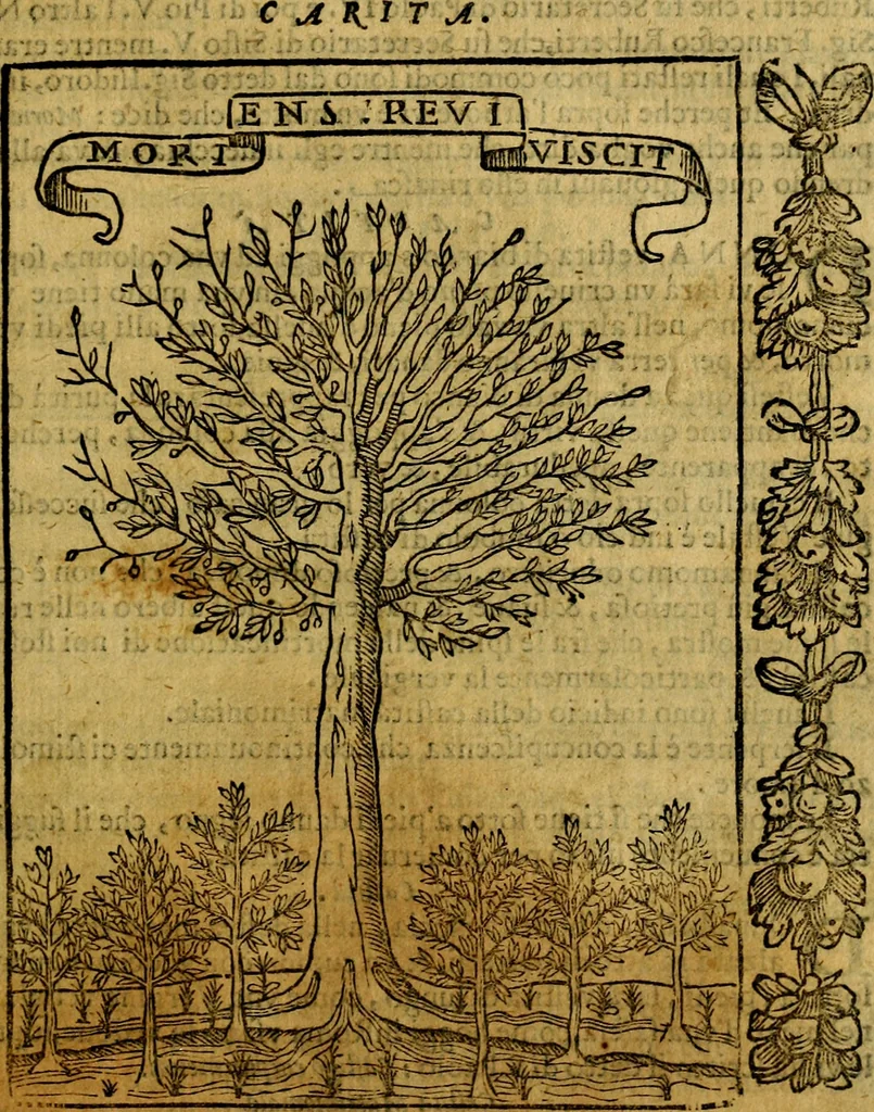 An illustration from Iconologia, overo Descrittione di diverse imagini cauate dall'antichità, & di propria inuentione,, 1603, leaf 92