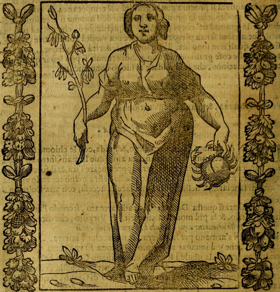 An illustration from Iconologia, overo Descrittione di diverse imagini cauate dall'antichità, & di propria inuentione,, 1603, leaf 217