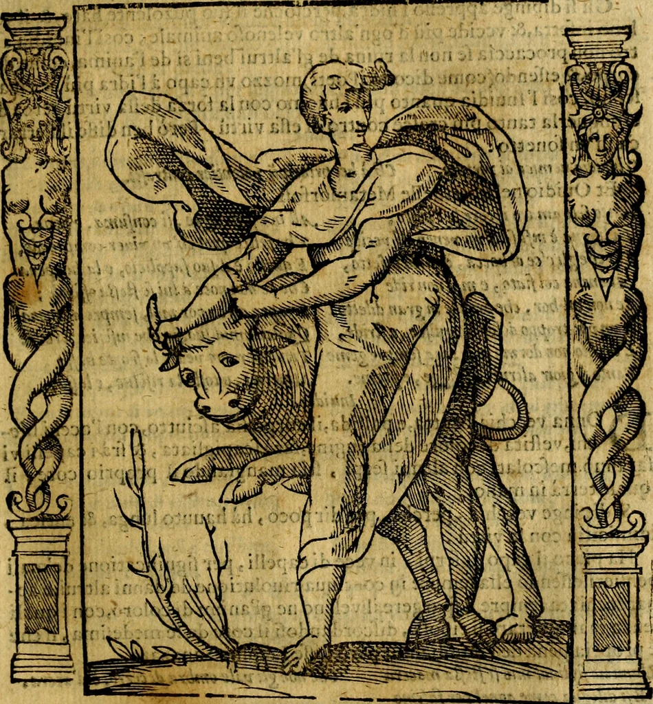 An illustration from Iconologia, overo Descrittione di diverse imagini cauate dall'antichità, & di propria inuentione,, 1603, leaf 260