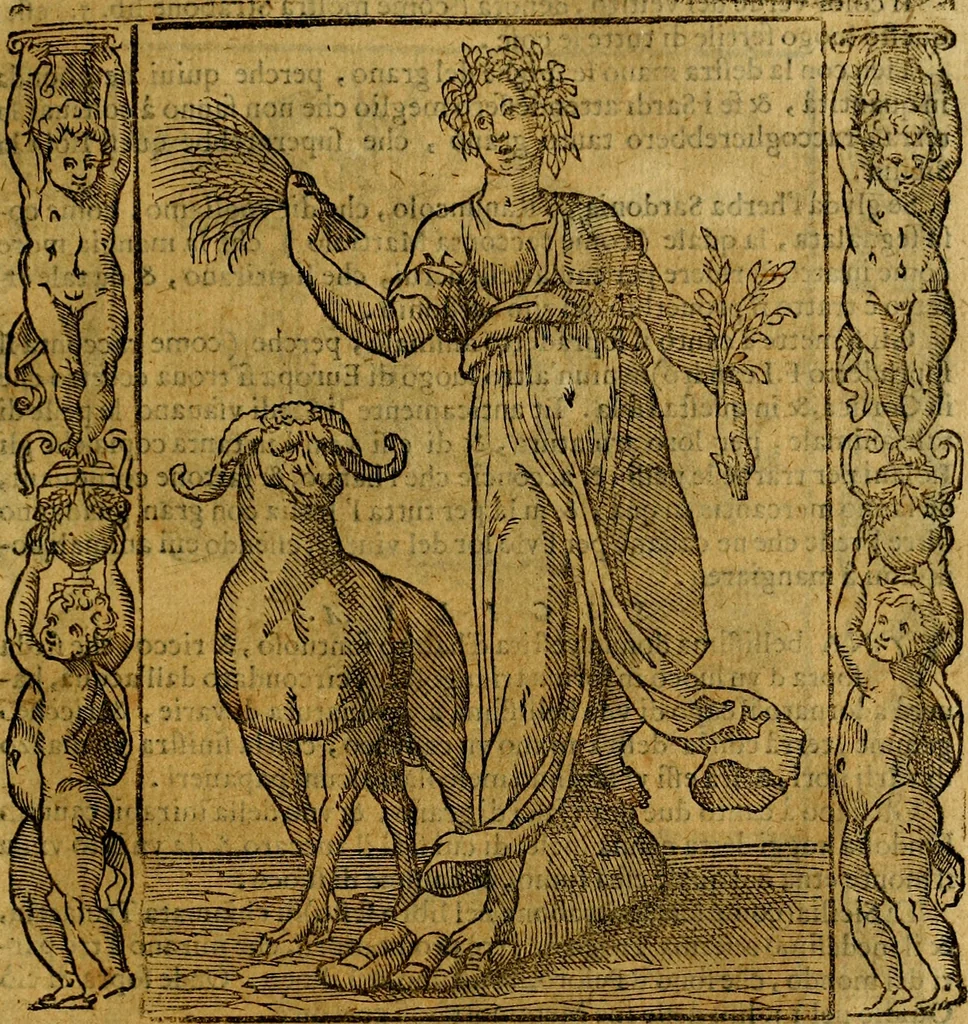 An illustration from Iconologia, overo Descrittione di diverse imagini cauate dall'antichità, & di propria inuentione,, 1603, leaf 304
