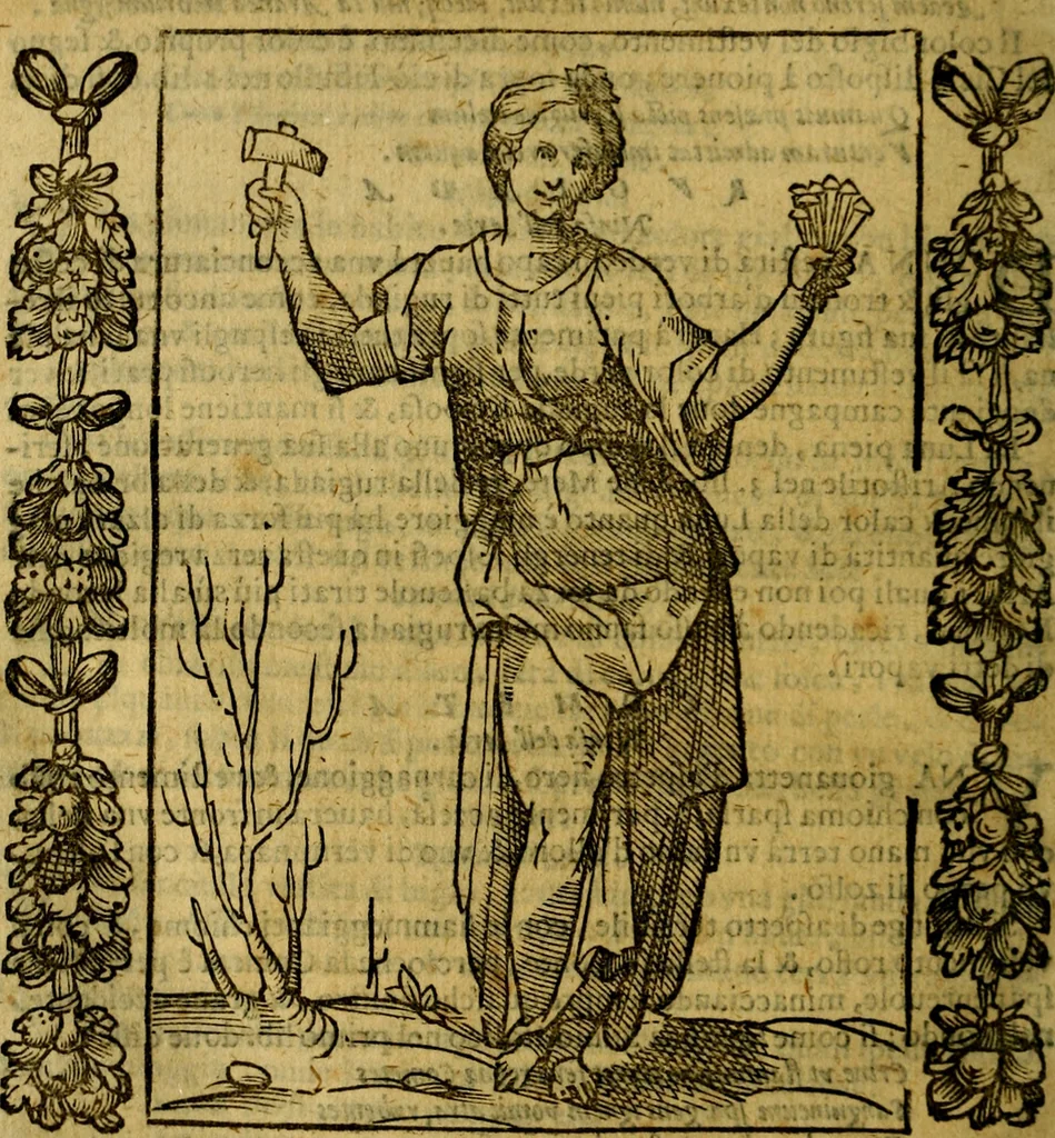 An illustration from Iconologia, overo Descrittione di diverse imagini cauate dall'antichità, & di propria inuentione,, 1603, leaf 377