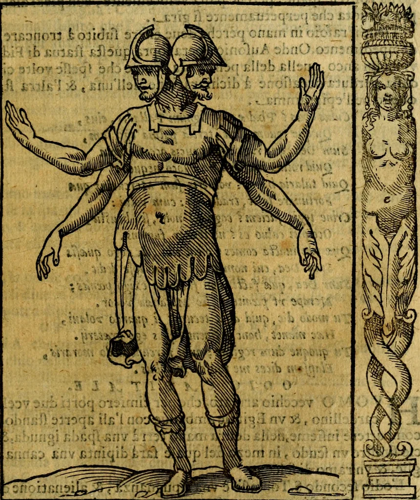 An illustration from Iconologia, overo Descrittione di diverse imagini cauate dall'antichità, & di propria inuentione,, 1603, leaf 384
