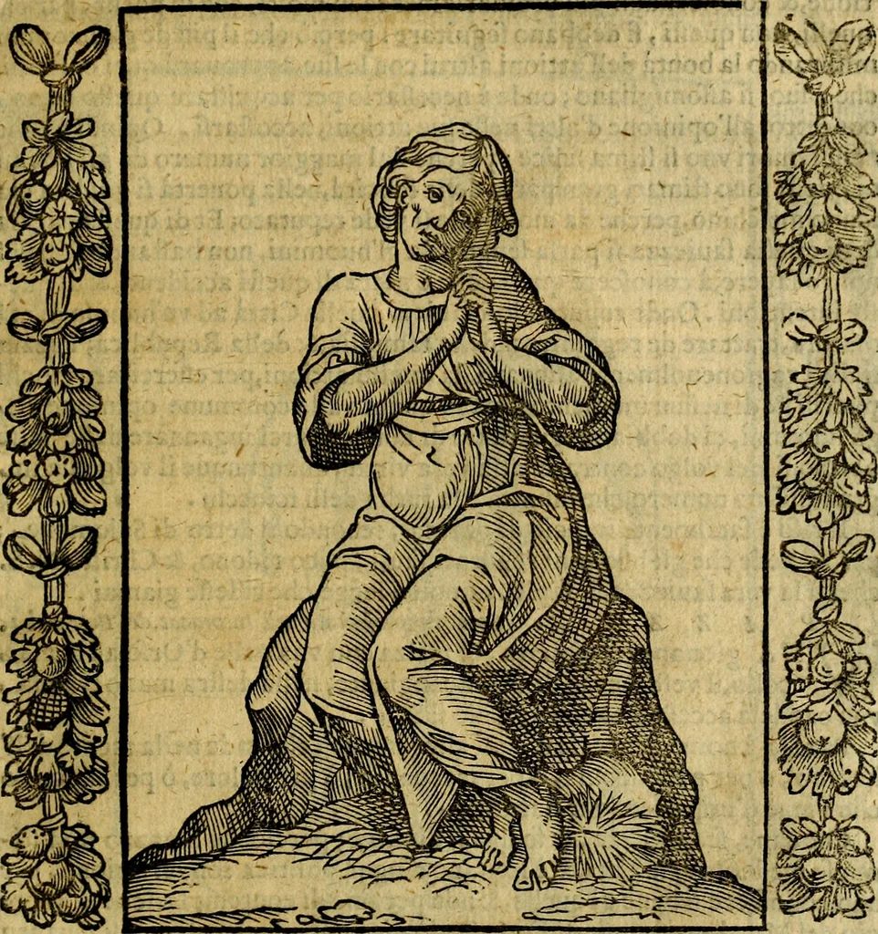 An illustration from Iconologia, overo Descrittione di diverse imagini cauate dall'antichità, & di propria inuentione,, 1603, leaf 400