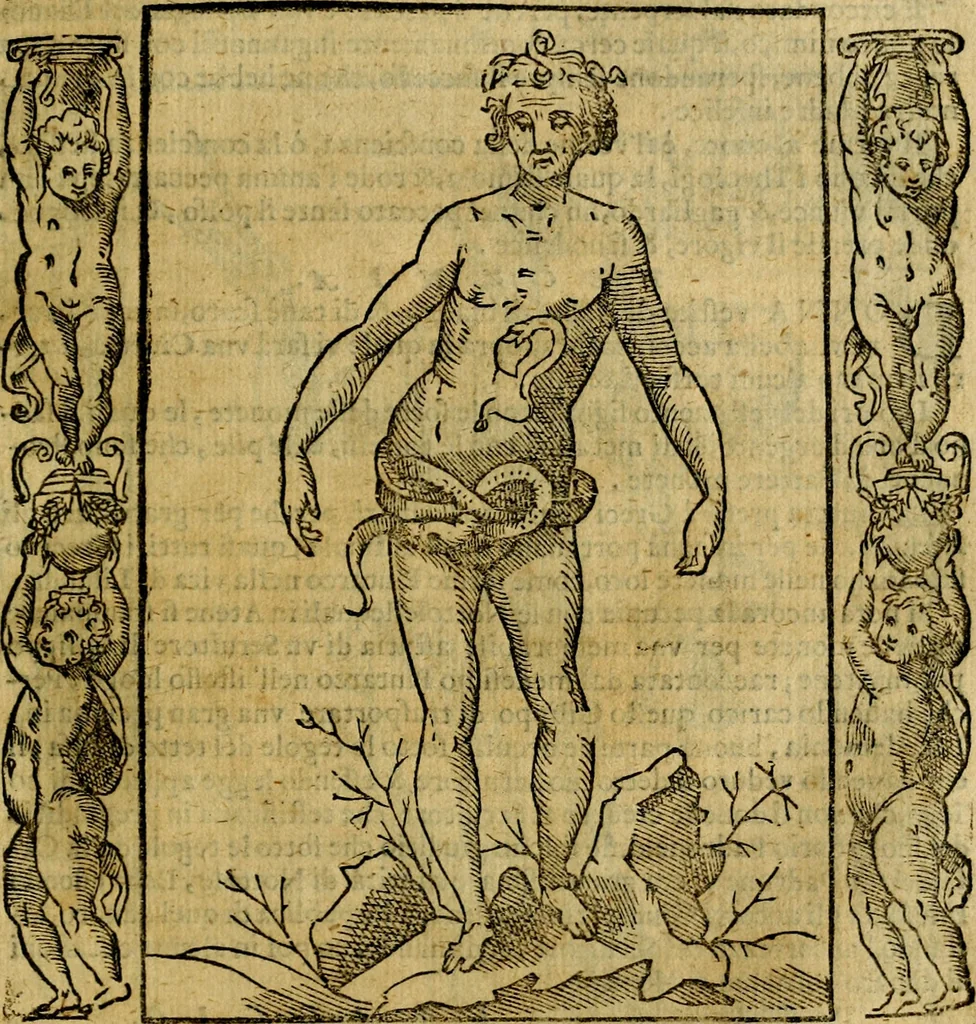 An illustration from Iconologia, overo Descrittione di diverse imagini cauate dall'antichità, & di propria inuentione,, 1603, leaf 402