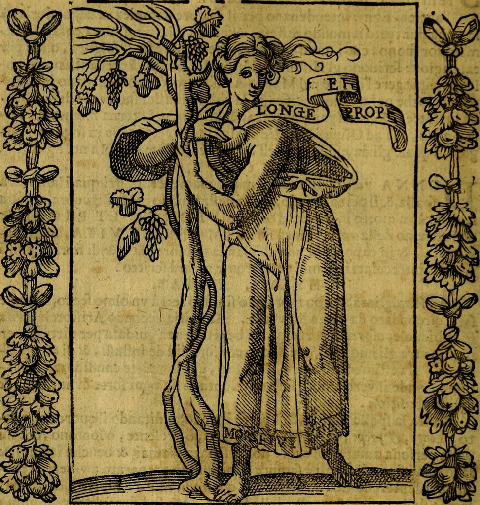 An illustration from Iconologia, overo Descrittione di diverse imagini cauate dall'antichità, & di propria inuentione,, 1603, leaf 41
