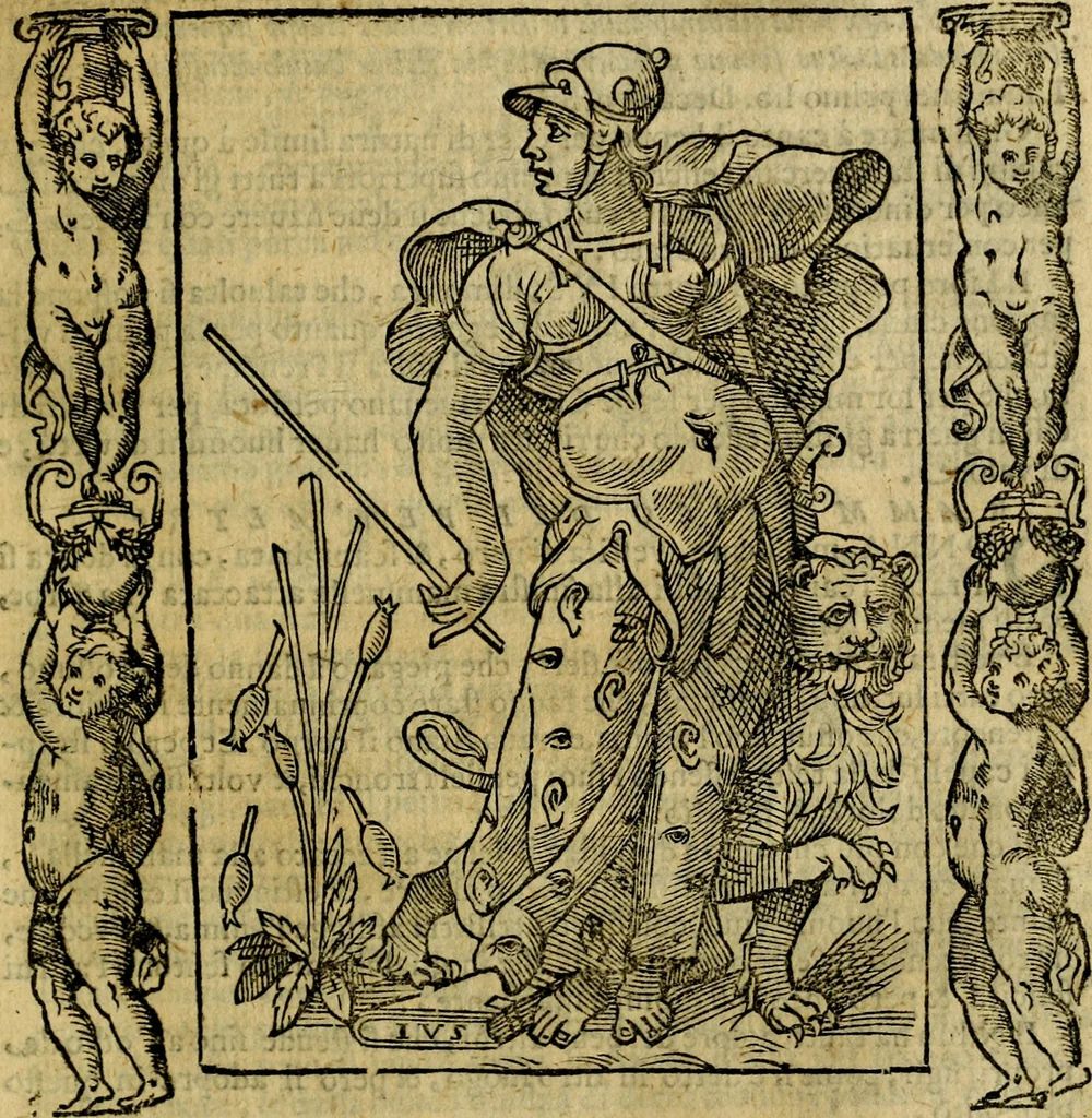 An illustration from Iconologia, overo Descrittione di diverse imagini cauate dall'antichità, & di propria inuentione,, 1603, leaf 446