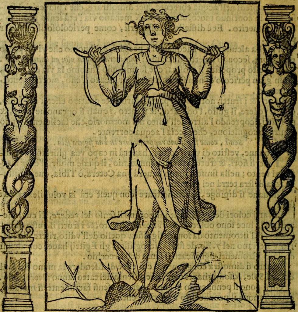 An illustration from Iconologia, overo Descrittione di diverse imagini cauate dall'antichità, & di propria inuentione,, 1603, leaf 469