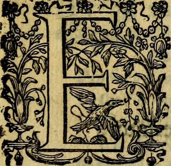 An illustration from Iconologia, overo Descrittione di diverse imagini cauate dall'antichità, & di propria inuentione,, 1603, leaf 6