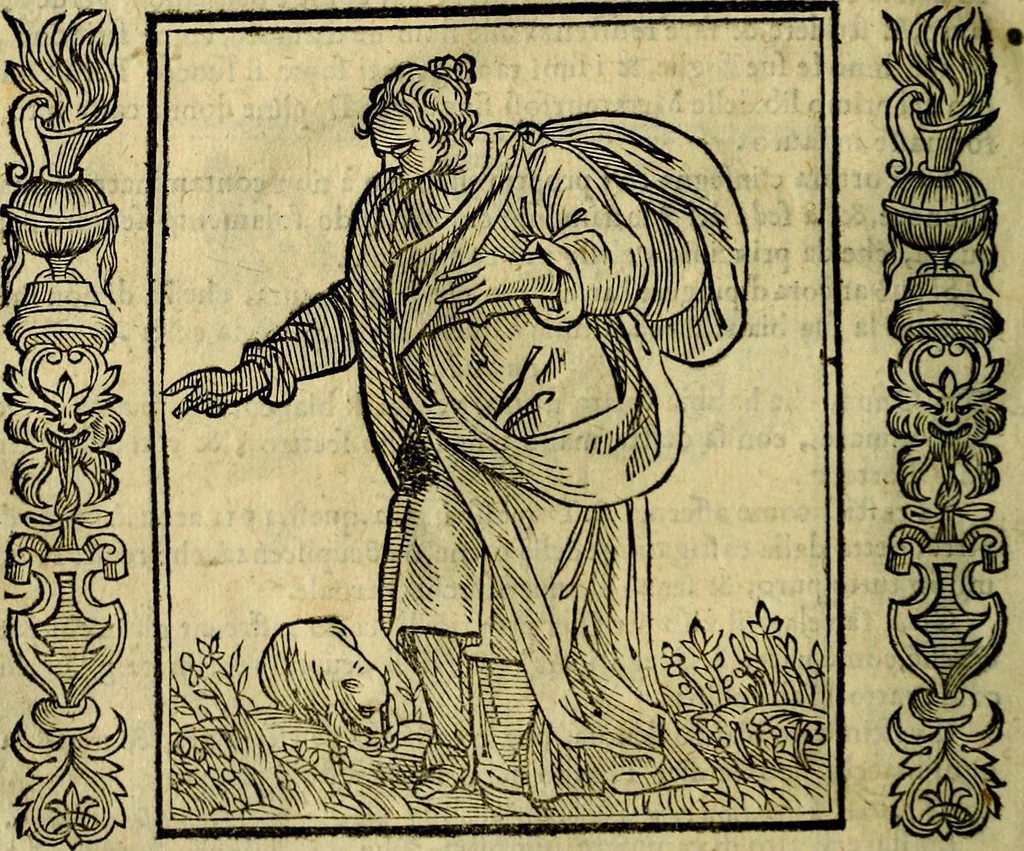 An illustration from Iconologia, overo, Descrittione d'imagini delle virtu', vitii, affetti, passioni humane, corpi celesti, mondo e sue parti, 1611, leaf 111