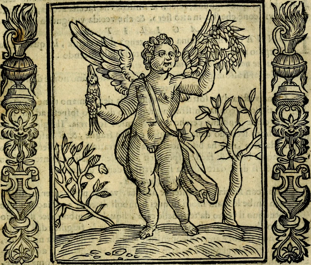 An illustration from Iconologia, overo, Descrittione d'imagini delle virtu', vitii, affetti, passioni humane, corpi celesti, mondo e sue parti, 1611, leaf 220