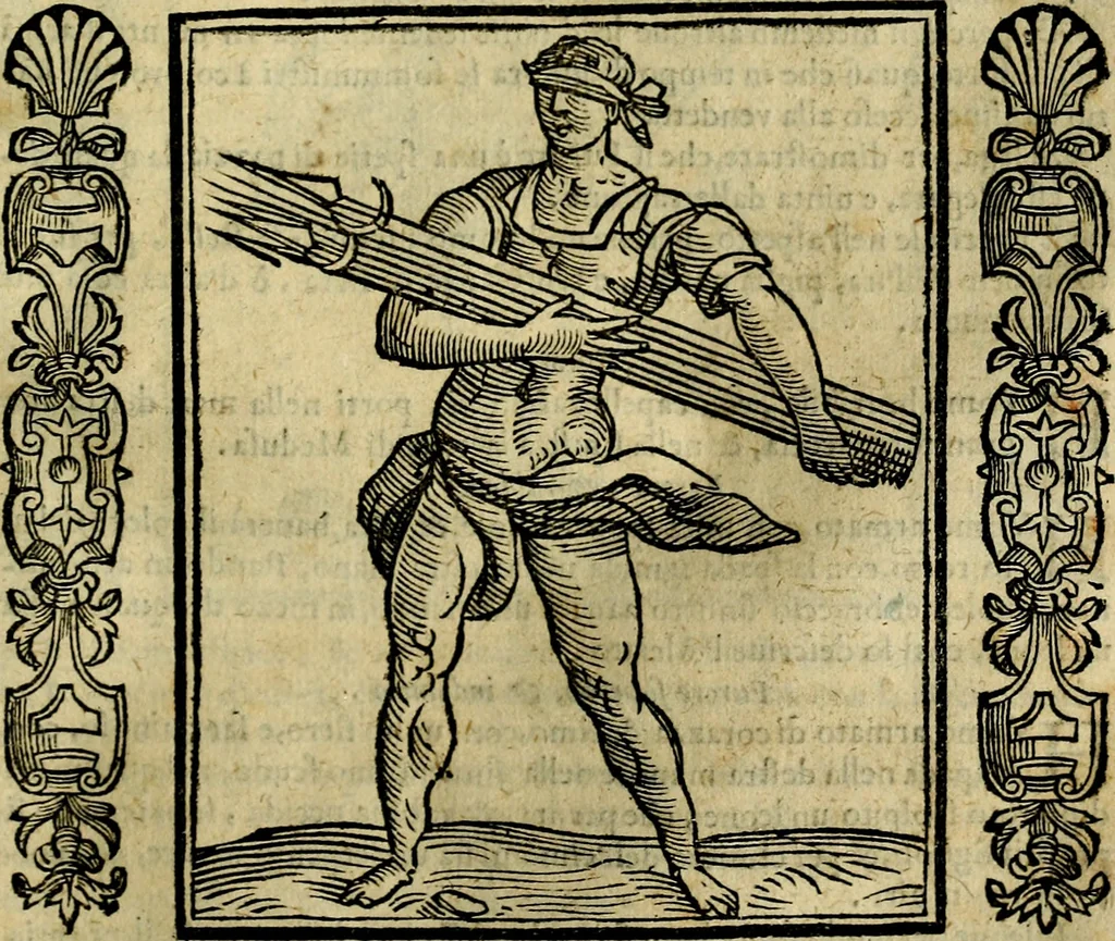 An illustration from Iconologia, overo, Descrittione d'imagini delle virtu', vitii, affetti, passioni humane, corpi celesti, mondo e sue parti, 1611, leaf 224