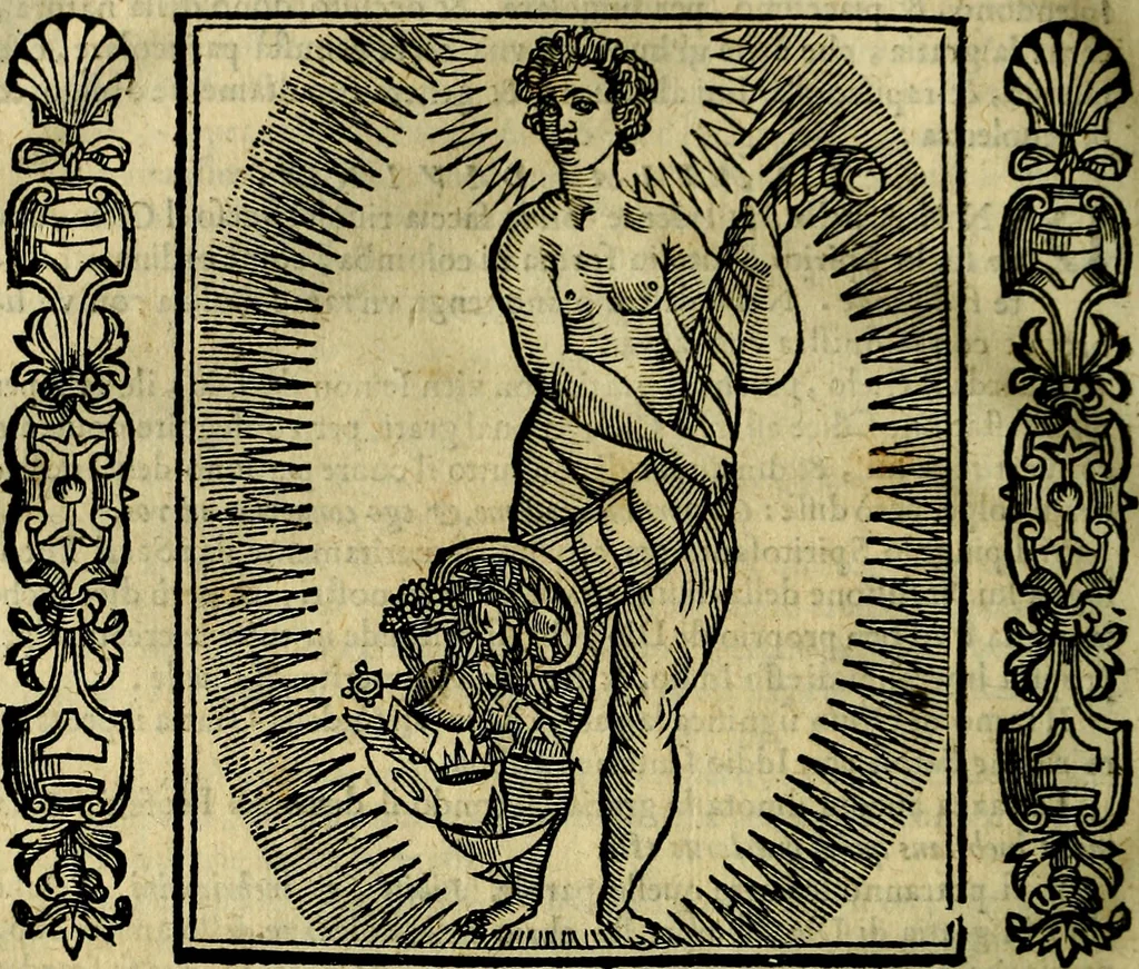 An illustration from Iconologia, overo, Descrittione d'imagini delle virtu', vitii, affetti, passioni humane, corpi celesti, mondo e sue parti, 1611, leaf 247