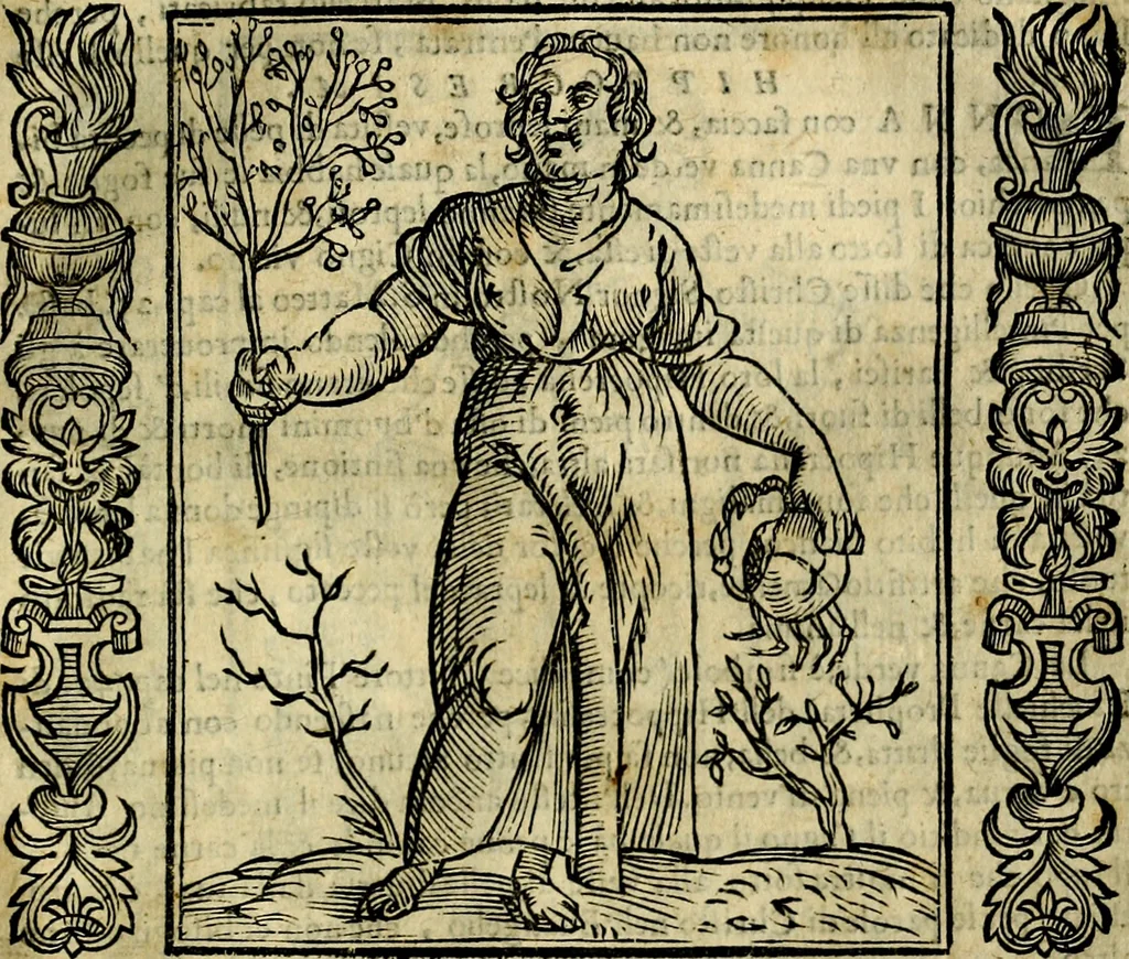 An illustration from Iconologia, overo, Descrittione d'imagini delle virtu', vitii, affetti, passioni humane, corpi celesti, mondo e sue parti, 1611, leaf 250