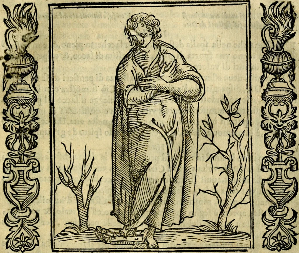 An illustration from Iconologia, overo, Descrittione d'imagini delle virtu', vitii, affetti, passioni humane, corpi celesti, mondo e sue parti, 1611, leaf 266