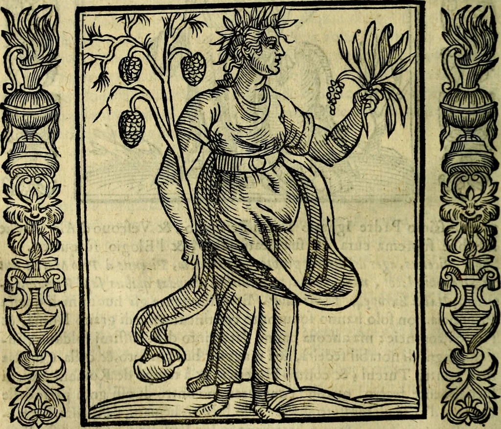 An illustration from Iconologia, overo, Descrittione d'imagini delle virtu', vitii, affetti, passioni humane, corpi celesti, mondo e sue parti, 1611, leaf 325