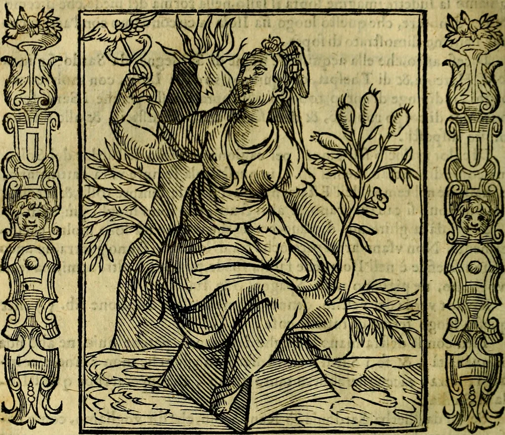 An illustration from Iconologia, overo, Descrittione d'imagini delle virtu', vitii, affetti, passioni humane, corpi celesti, mondo e sue parti, 1611, leaf 341